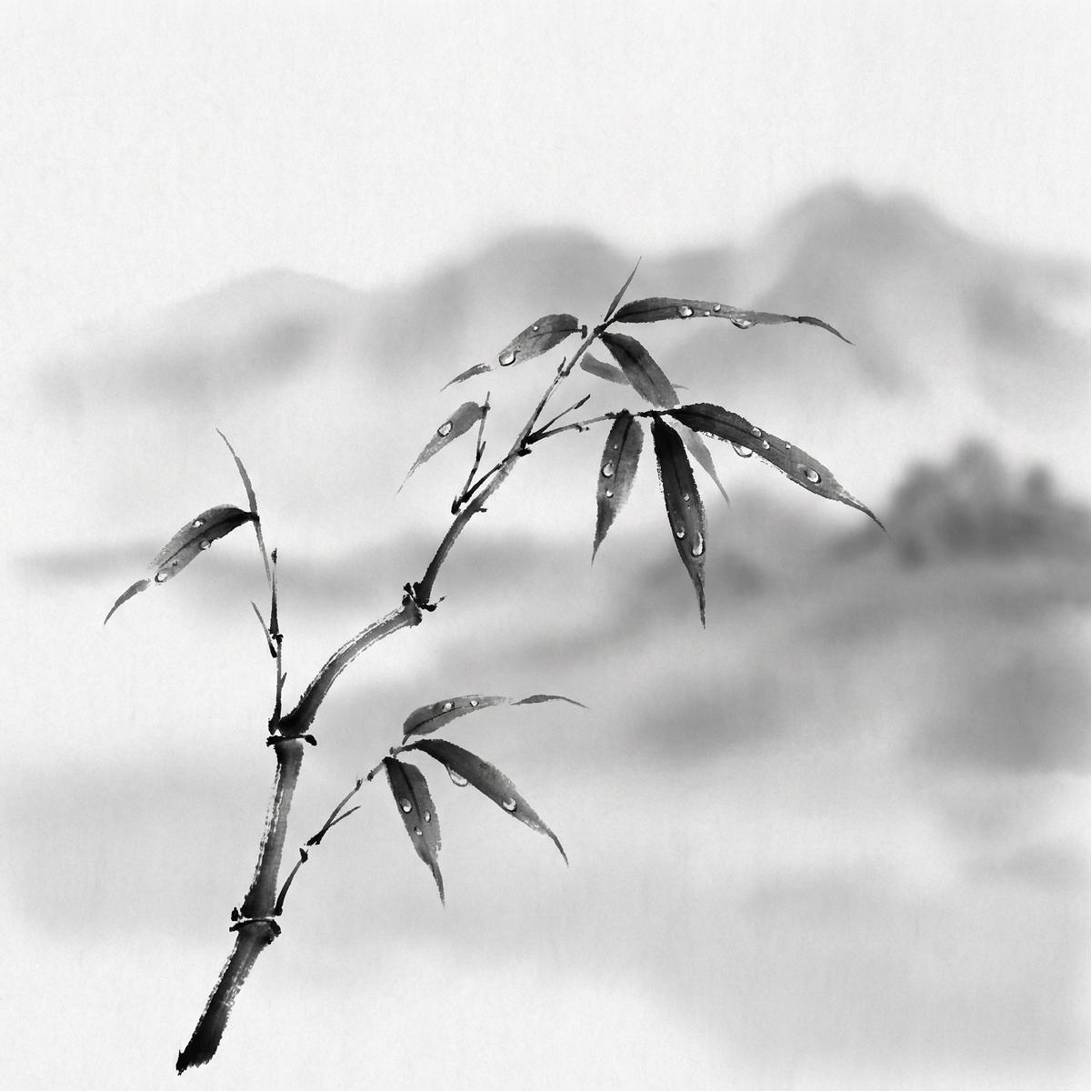 蘑菇视频-水墨禅意摄影视频